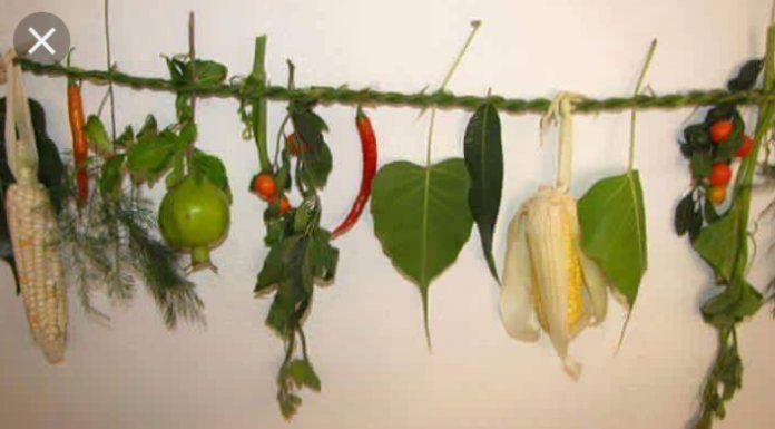 सिसेक्पा तङ्गनाम को सामाग्री