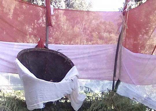 दुंग दुंगे देउताको सामग्री चबेक