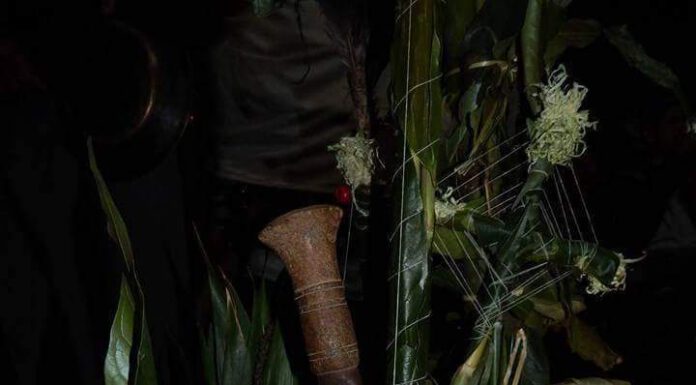 याक्थुङ मौलिकता अनुसार