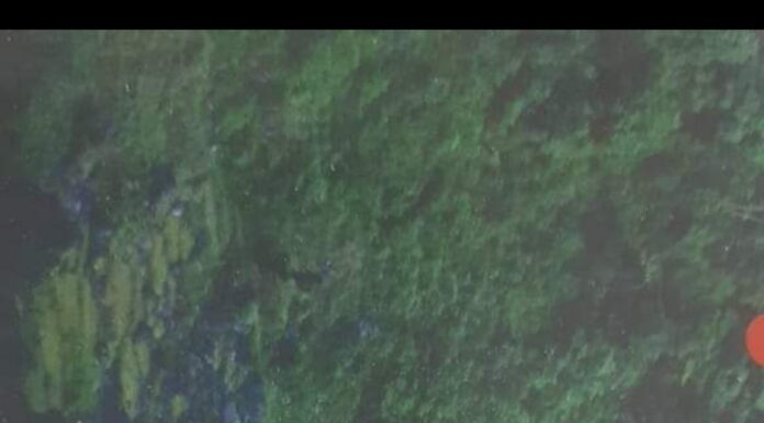 सुसुवेङ्ग लालावेङ्ग जन्मेको ठाउ