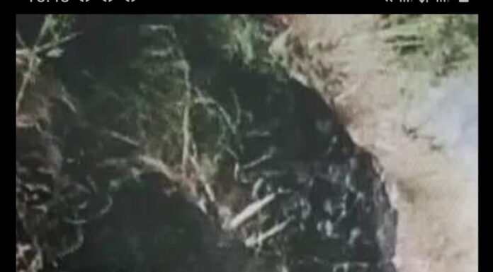 (सावायुपुङ्गकेबा) मुन्धुमी स्थल मिनु थोक्पाङ्ग पाङ्गफे तेम्बे