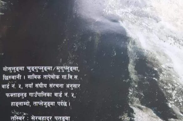 ताप्लेजुङ तम्मोरखोला इम्बिरी याङ्गथावा छिरुवानी)