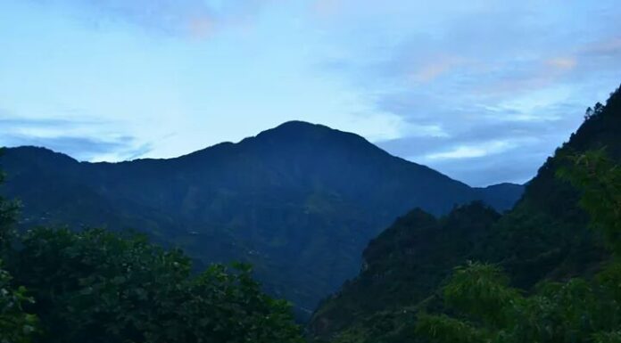 सेमुक्तु (सेमुक्तु मुक्ति) कोक्मा,