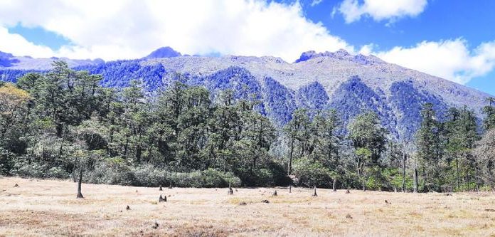 लिम्बुवानमा किपट प्रथा